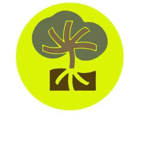 RAICES logo